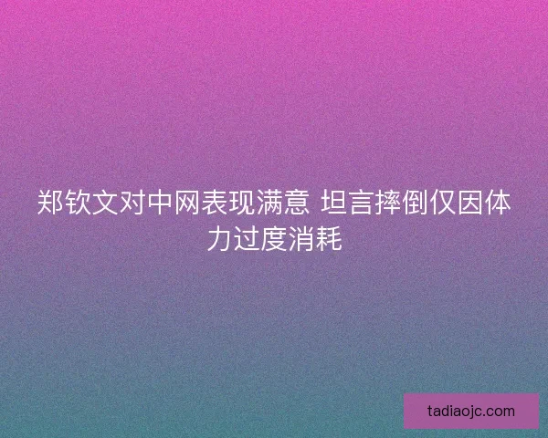 郑钦文对中网表现满意 坦言摔倒仅因体力过度消耗 郑钦文对中网表现满意 坦言摔倒仅因体力过度消耗